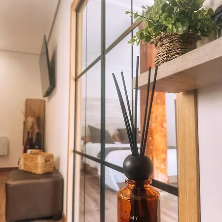 דירה Centro Y Playas 2 Con Terraza Sin Escaleras סנטנדר